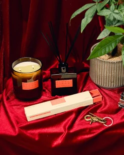Hi-Fi Collection Incense - Blonde Hinoki