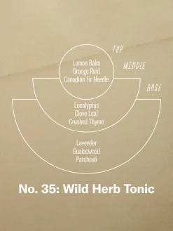 7.2oz Soy Candle - Wild Herb Tonic