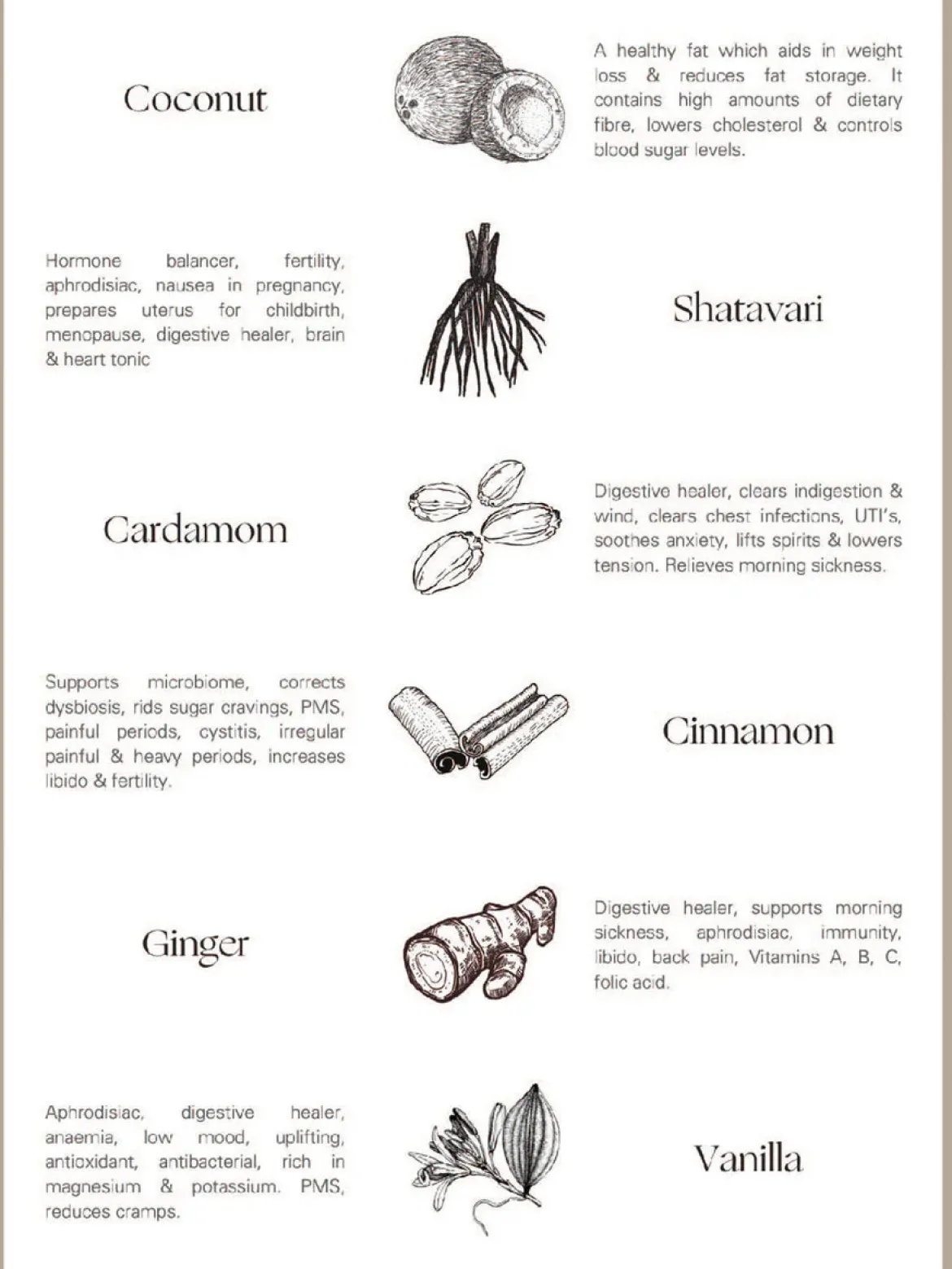 Palm of Feronia X Lady Apothecary Herbal Healing - Harmonia Masala Chai