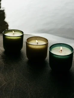 Sea Garden Glass Candle - Sea Moss & Driftwood