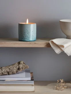 Sea & Shore Candle Pot - Wild Gorse
